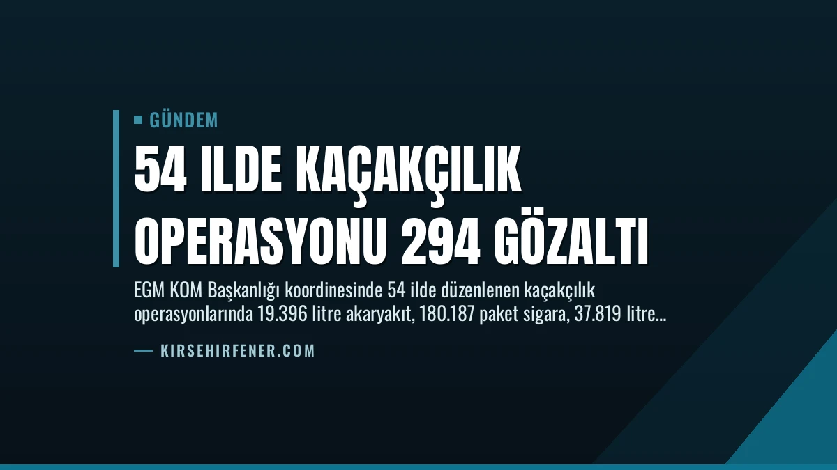 54 Ilde Kaçakçılık Operasyonu 294 Gözaltı