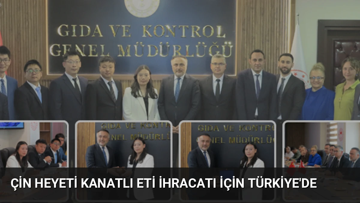 Çin Heyeti Kanatlı Eti İhracatı İçin Türkiye’de