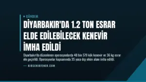 Diyarbakır’da 1.2 Ton Esrar Elde Edilebilecek Kenevir İmha Edildi