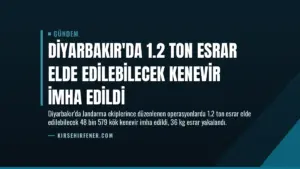 Diyarbakır’da 1.2 Ton Esrar Elde Edilebilecek Kenevir İmha Edildi