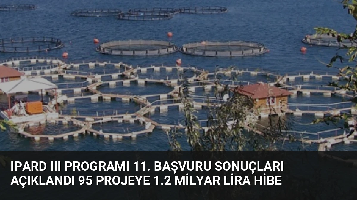 IPARD III Programı 11. Başvuru Sonuçları Açıklandı 95 Projeye 1.2 Milyar Lira Hibe