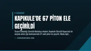 Kapıkule’de 67 Piton Ele Geçirildi