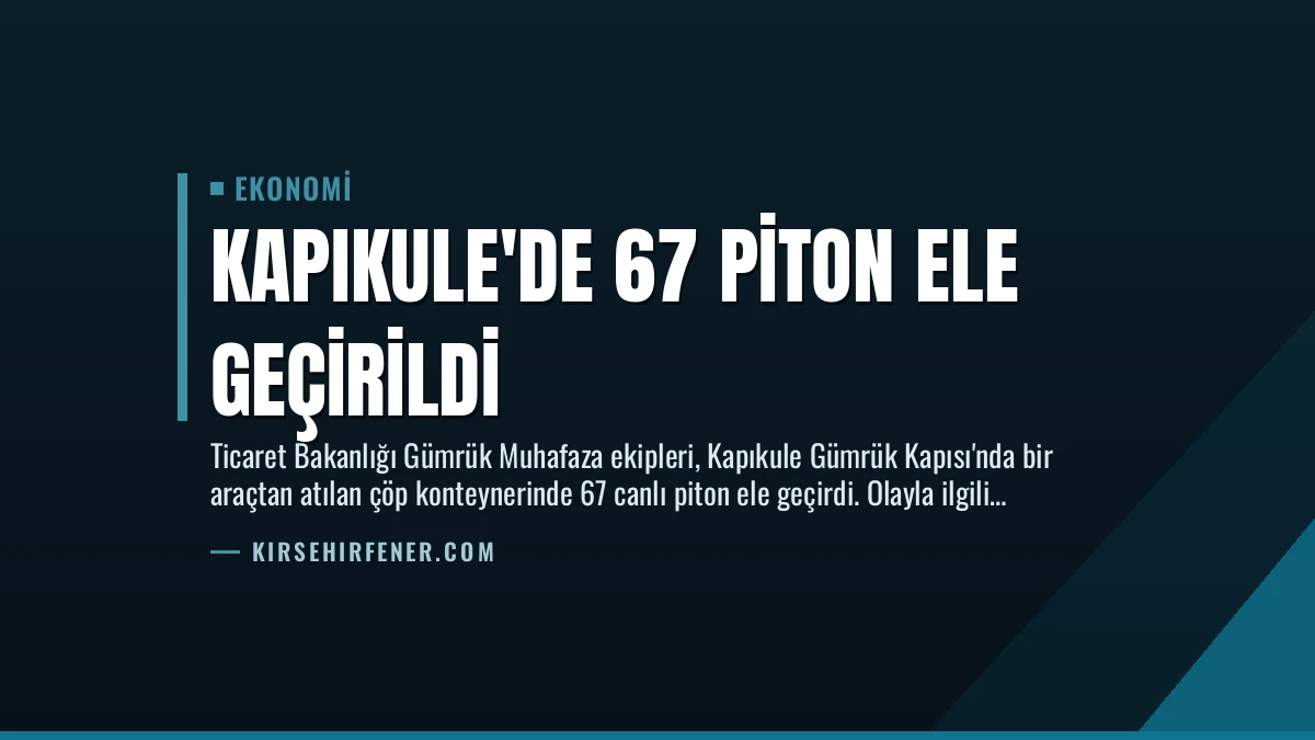 Kapıkule’de 67 Piton Ele Geçirildi