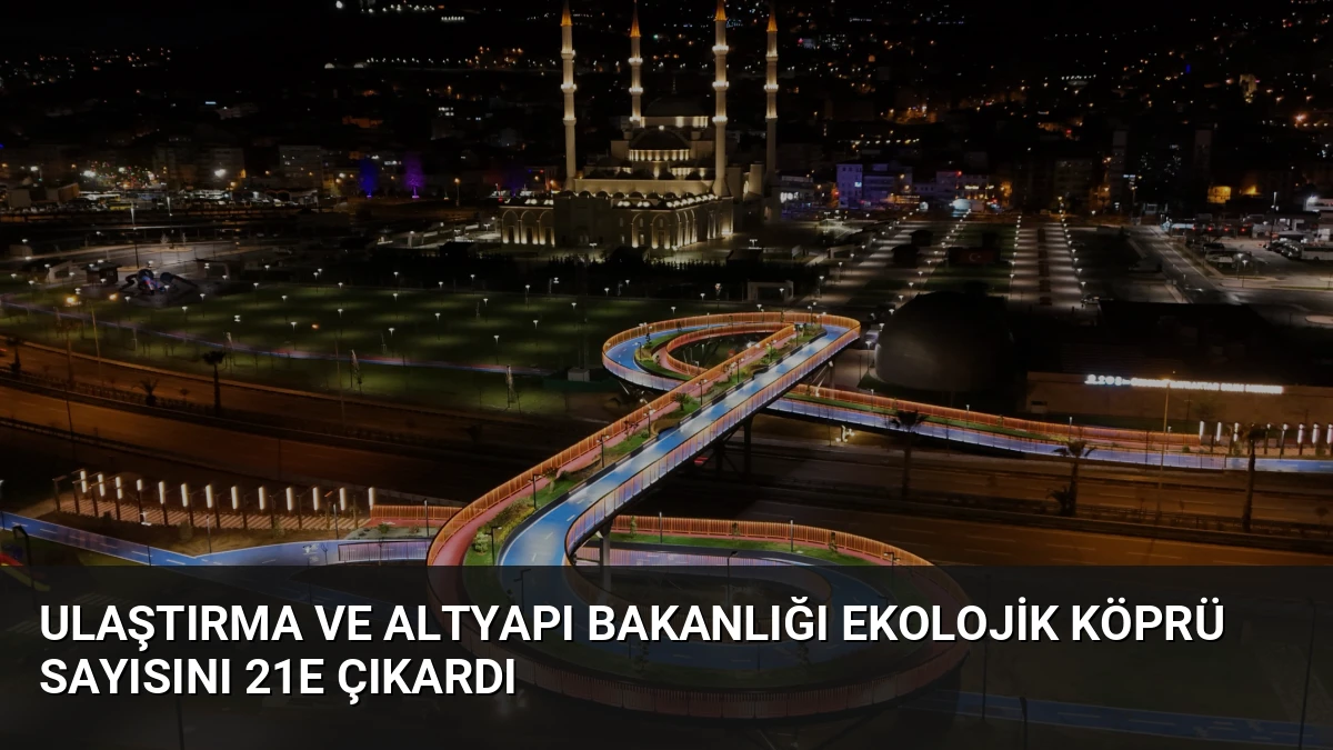 Ulaştırma ve Altyapı Bakanlığı Ekolojik Köprü Sayısını 21e Çıkardı